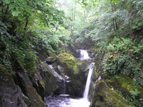 ingleton_falls2_klein.JPG