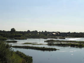 wetlands_klein.JPG